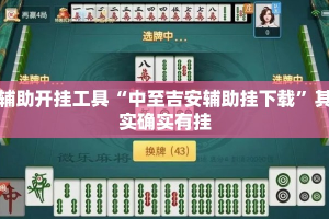 辅助开挂工具“中至吉安辅助挂下载”其实确实有挂