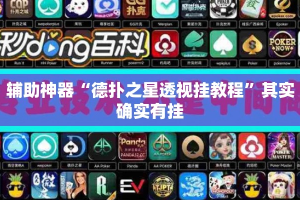 辅助神器“德扑之星透视挂教程”其实确实有挂