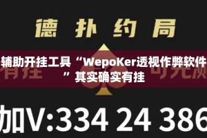 辅助开挂工具“WepoKer透视作弊软件”其实确实有挂