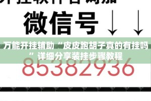 万能开挂辅助“皮皮跑胡子真的有挂吗”详细分享装挂步骤教程