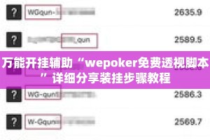 万能开挂辅助“wepoker免费透视脚本”详细分享装挂步骤教程