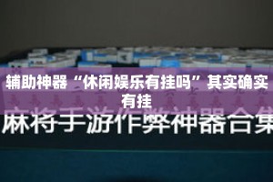 辅助神器“休闲娱乐有挂吗”其实确实有挂