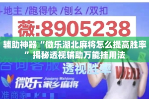辅助神器“微乐湖北麻将怎么提高胜率”揭秘透视辅助万能挂用法