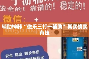 辅助神器“微乐三打一辅助”其实确实有挂