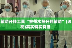 辅助开挂工具“金州水鱼开挂辅助”(透视)其实确实有挂 