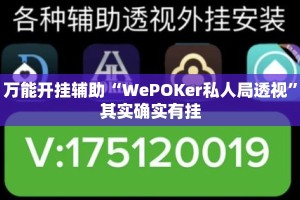 万能开挂辅助“WePOKer私人局透视”其实确实有挂
