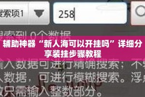 辅助神器“新人海可以开挂吗”详细分享装挂步骤教程
