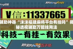 辅助神器“沫沫福建麻将平台有挂吗”揭秘透视辅助万能挂用法