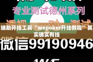 辅助开挂工具“wepoker开挂教程”其实确实有挂