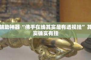 辅助神器“佛手在线其实是有透视挂”其实确实有挂