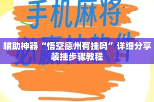 辅助神器“悟空德州有挂吗”详细分享装挂步骤教程