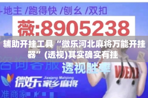 辅助开挂工具“微乐河北麻将万能开挂器”(透视)其实确实有挂 