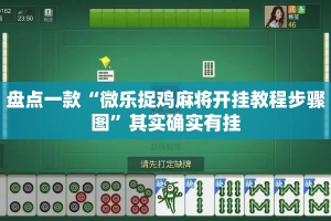 盘点一款“微乐捉鸡麻将开挂教程步骤图”其实确实有挂