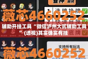 辅助开挂工具“微信泸州大贰辅助工具”(透视)其实确实有挂 