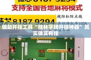 辅助开挂工具“桂林字牌开挂神器”其实确实有挂