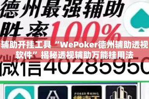辅助开挂工具“WePoker德州辅助透视软件”揭秘透视辅助万能挂用法