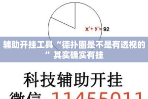 辅助开挂工具“德扑圈是不是有透视的”其实确实有挂