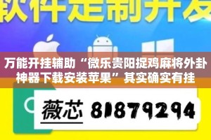 万能开挂辅助“微乐贵阳捉鸡麻将外卦神器下载安装苹果”其实确实有挂