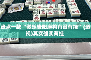 盘点一款“微乐贵阳麻将有没有挂”(透视)其实确实有挂 