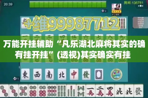 万能开挂辅助“凡乐湖北麻将其实的确有挂开挂”(透视)其实确实有挂 