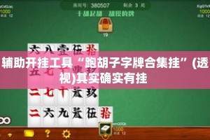 辅助开挂工具“跑胡子字牌合集挂”(透视)其实确实有挂 
