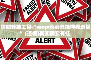 辅助开挂工具“wepoker开挂神器透视”(透视)其实确实有挂 