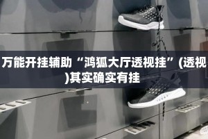 万能开挂辅助“鸿狐大厅透视挂”(透视)其实确实有挂 