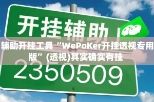辅助开挂工具“WePoKer开挂透视专用版”(透视)其实确实有挂 