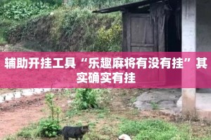 辅助开挂工具“乐趣麻将有没有挂”其实确实有挂