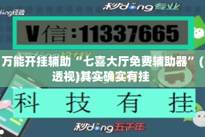 万能开挂辅助“七喜大厅免费辅助器”(透视)其实确实有挂 
