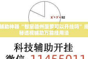 辅助神器“智星德州菠萝可以开挂吗”揭秘透视辅助万能挂用法