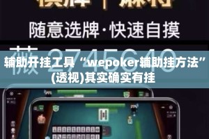辅助开挂工具“wepoker辅助挂方法”(透视)其实确实有挂 