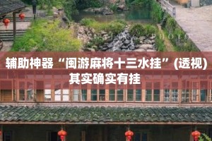 辅助神器“闽游麻将十三水挂”(透视)其实确实有挂 