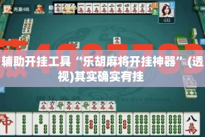 辅助开挂工具“乐胡麻将开挂神器”(透视)其实确实有挂 