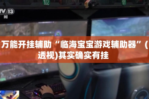 万能开挂辅助“临海宝宝游戏辅助器”(透视)其实确实有挂 