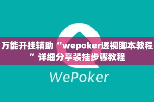 万能开挂辅助“wepoker透视脚本教程”详细分享装挂步骤教程