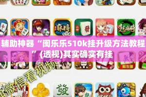 辅助神器“闽乐乐510k挂升级方法教程”(透视)其实确实有挂 
