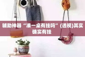 辅助神器“凑一桌有挂吗”(透视)其实确实有挂 