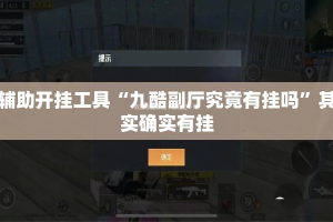 辅助开挂工具“九酷副厅究竟有挂吗”其实确实有挂