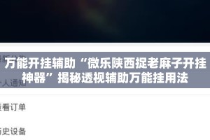 万能开挂辅助“微乐陕西捉老麻子开挂神器”揭秘透视辅助万能挂用法