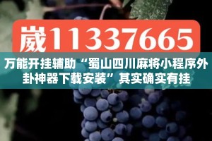 万能开挂辅助“蜀山四川麻将小程序外卦神器下载安装”其实确实有挂