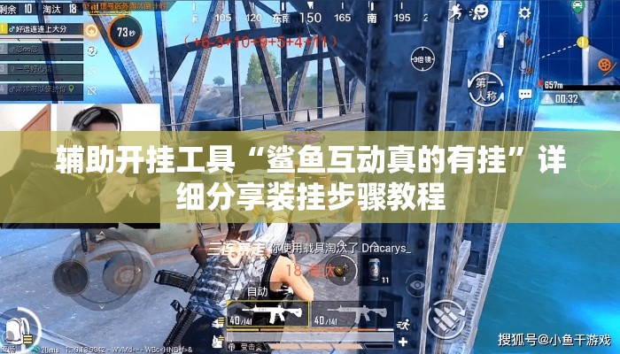 辅助开挂工具“鲨鱼互动真的有挂”详细分享装挂步骤教程