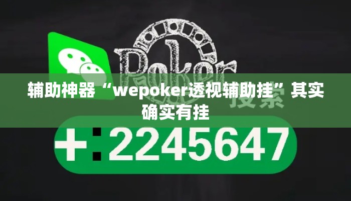 辅助神器“wepoker透视辅助挂”其实确实有挂