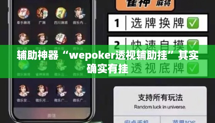 辅助神器“wepoker透视辅助挂	”其实确实有挂