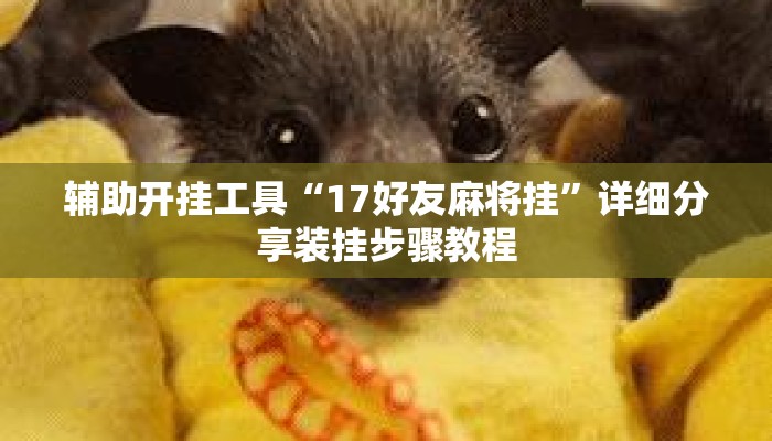 辅助开挂工具“17好友麻将挂”详细分享装挂步骤教程