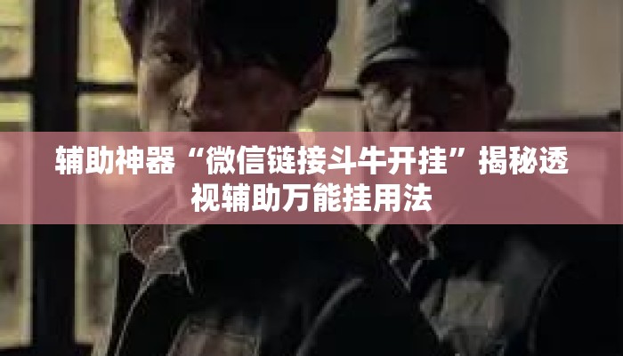 盘点一款“微乐湖南麻将小程序必赢神器免费”详细分享装挂步骤教程