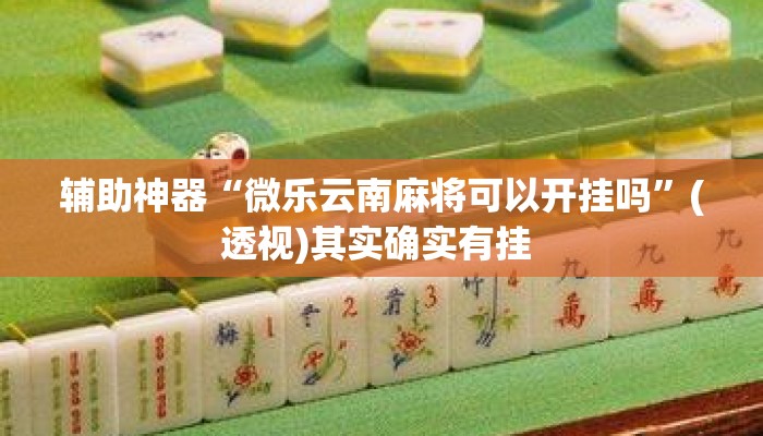 辅助神器“微乐云南麻将可以开挂吗”(透视)其实确实有挂 