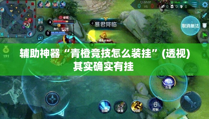 辅助神器“青橙竞技怎么装挂	”(透视)其实确实有挂 