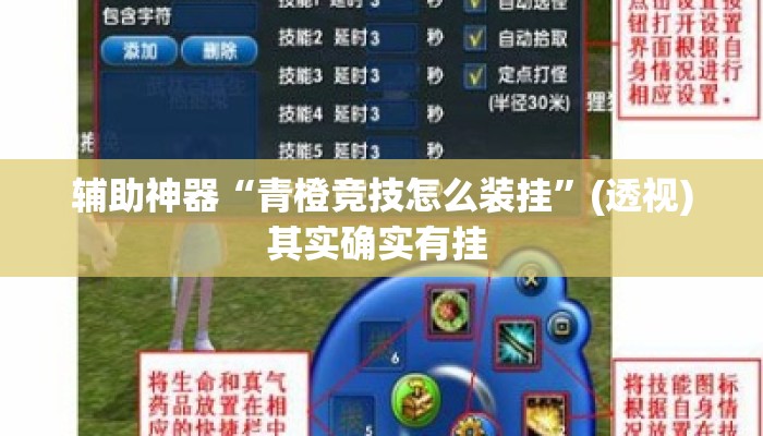 辅助神器“青橙竞技怎么装挂”(透视)其实确实有挂 