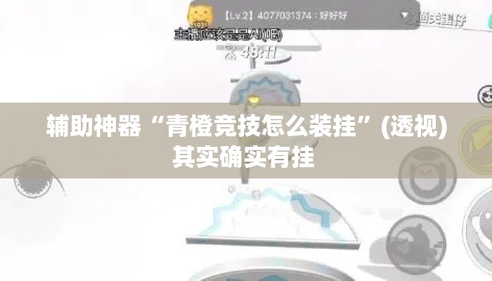 辅助神器“青橙竞技怎么装挂”(透视)其实确实有挂 